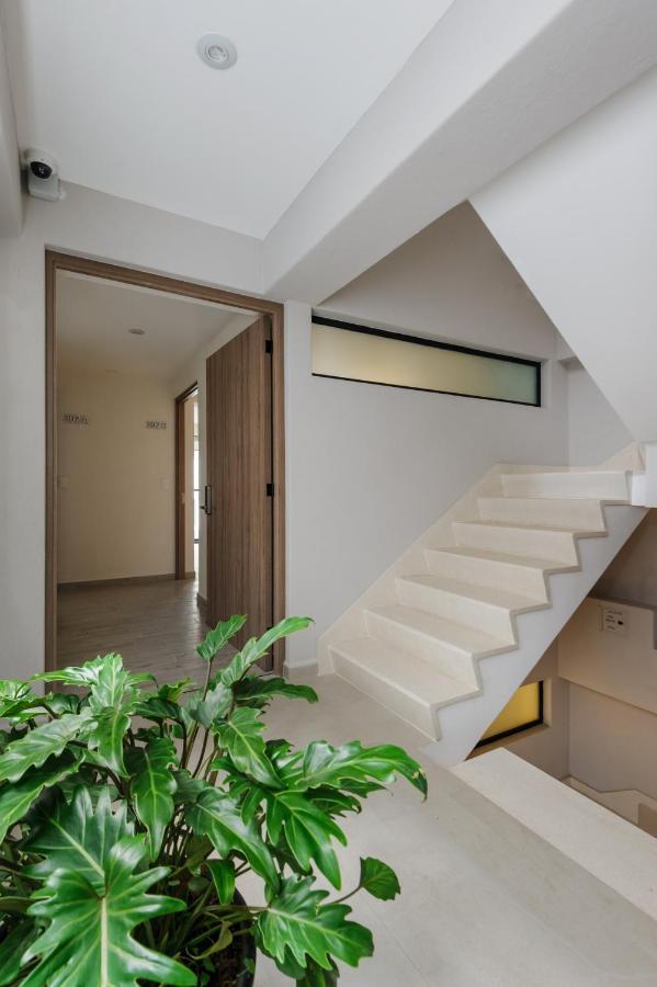 Choapan 28 - Lux Apartments In Condesa Μεξικό Εξωτερικό φωτογραφία